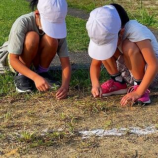 小さな手で、１本ずつ抜いてくれます