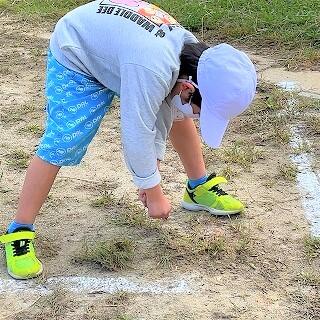 うおぉりゃぁぁぁ！