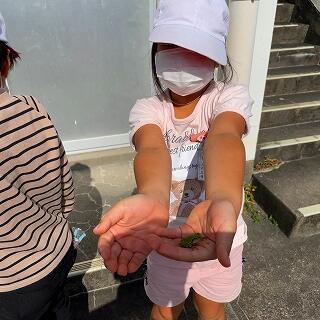 カエルがいましたよ！