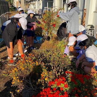 どんどん抜いていきますよ