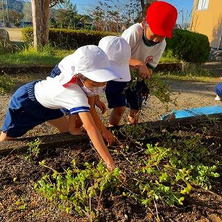 花壇をきれいにするぞ！