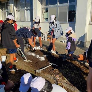 肥料と石灰で土を整えます