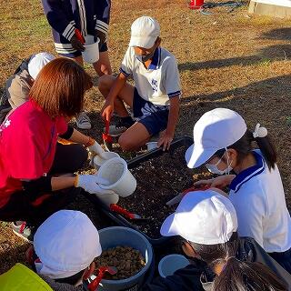 ボラを置いてから土を入れるんですよ