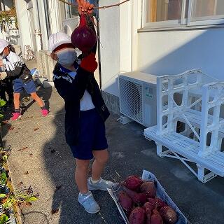 顔と同じくらい大きいですよ