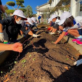 まだまだ土の中にもあるかな？