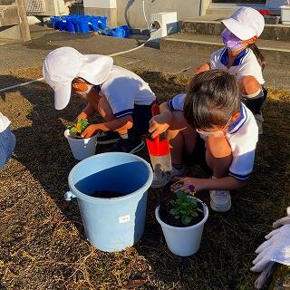 これで大丈夫かな？