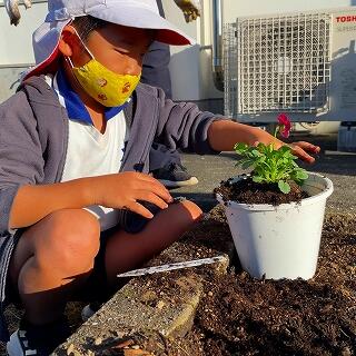 花が倒れないかな？
