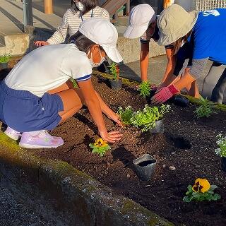 ちょうどいい穴を掘ってね