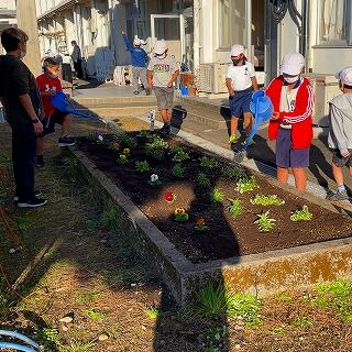 元気に育ってね