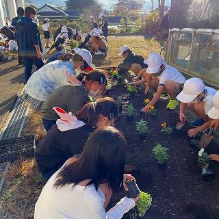 みんなで植えましたよ