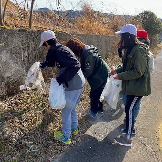 けっこう落ちていますね。