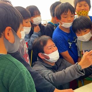 珍しいソフトもありましたね