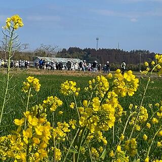 お散歩日和です