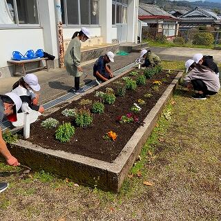花壇のまわりも草が生えてきましたよ