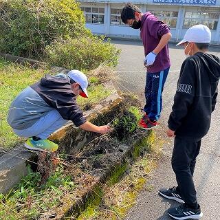 枯草も残っていますね