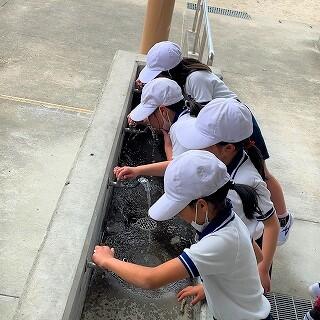 あー、水がおいしい！