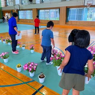 花もきれいに並べて…