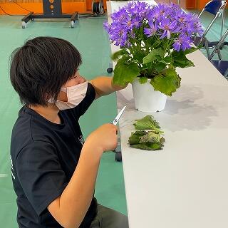 傷んだ葉は切りましょう