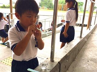 うまくいくかな？