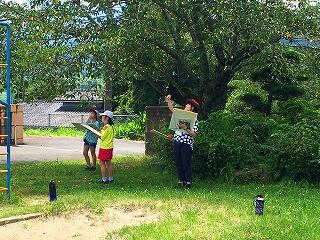 こっちからの景色がいいね