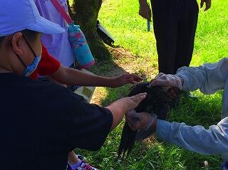 さわってみよう