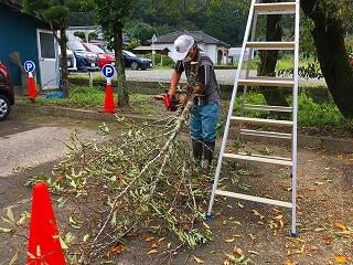 落とした枝をさらに小さく