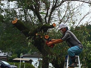 気を付けてくださいよー