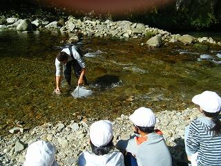 こうやって生き物を見つけるよ