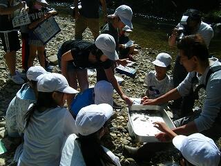 これは何という生き物かな？