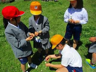 シロツメクサで飾りをつくろう