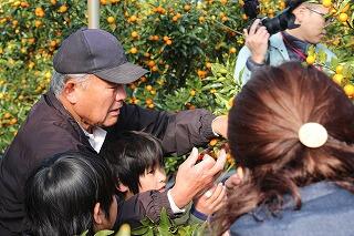 きんかんちぎり１