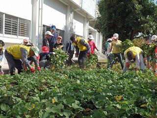 農業体験1 農業体験1