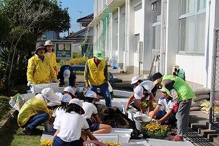 花の苗植え 花の苗植え