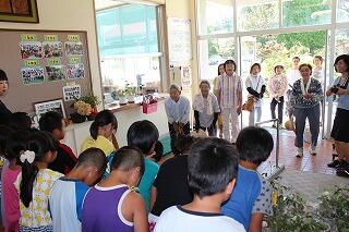 おじぎそう1 おじぎそう1