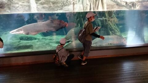 水族館1 水族館1