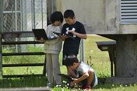 春の生き物の観察（４年生）