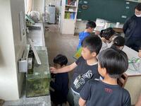 ここは理科室です理科室です