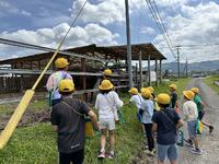 牛小屋を発見　牛さんがいたよ