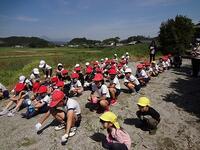 早く植えたいな