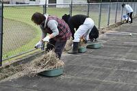 プールの周辺もきれいになりました。