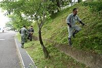 学校の坂の斜面もきれいになりました