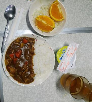 出来上がったカレーライス