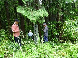 創立１００周年植林記念碑