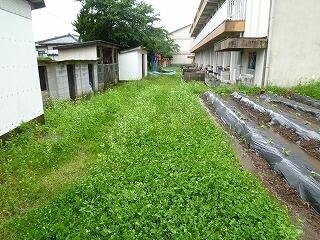 作業前（のびのび農園付近）