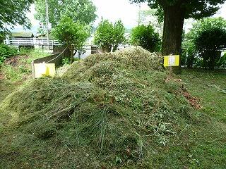 愛校作業で集められた草