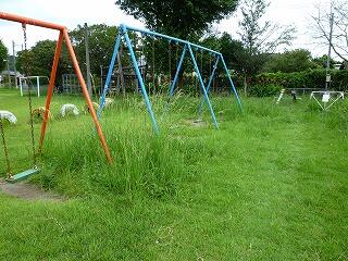 作業前のブランコ周辺の様子