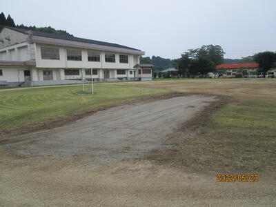 こんなに整地されました。