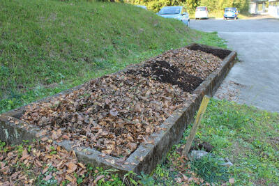 江楽園タイム腐葉土