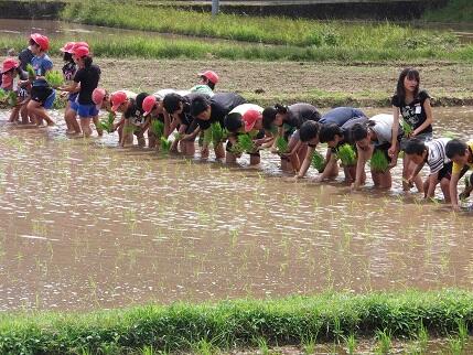 田植え１