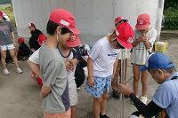 透明度調査の様子